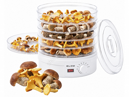 Suszarka do grzybów, warzyw i owoców z wentylatorem, 500W FD-01 sito 28cm